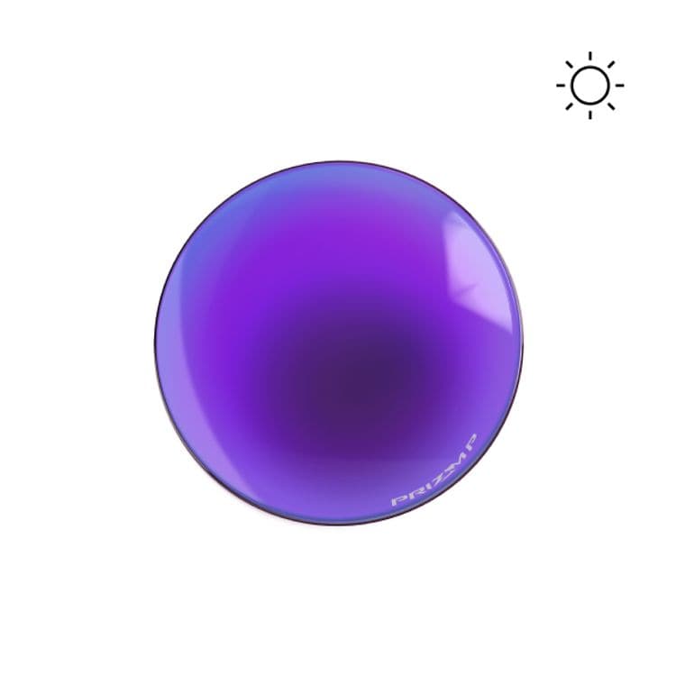   Prizm™ VIOLET POLARIZED