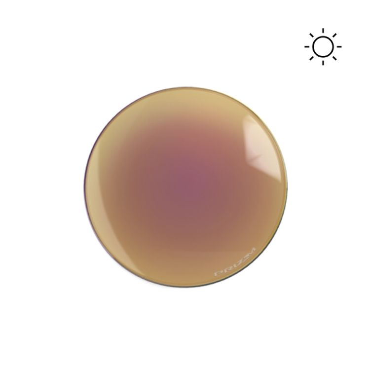   Prizm™ ROSE GOLD