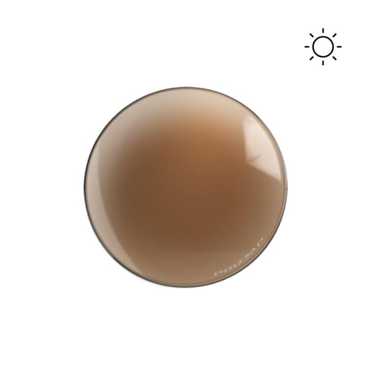   Prizm™ TUNGSTEN POLARIZED