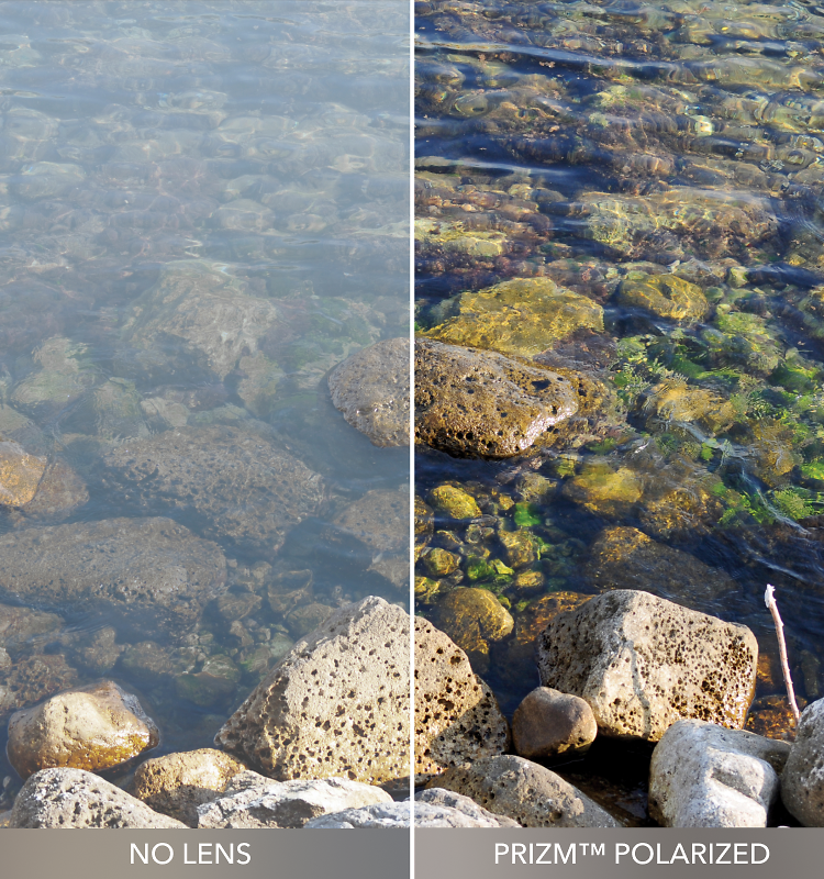 Prizm_HDPolarizerd_D